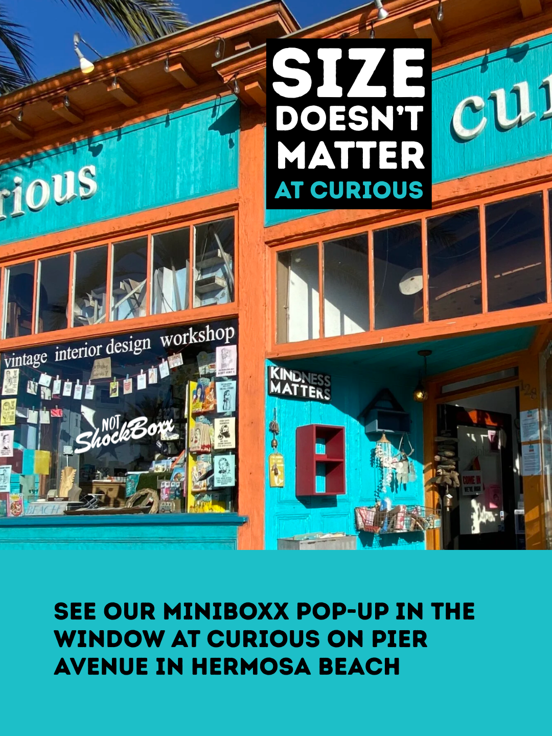 Picture of front of store curious on Pier Avenue in Hermosa Beach